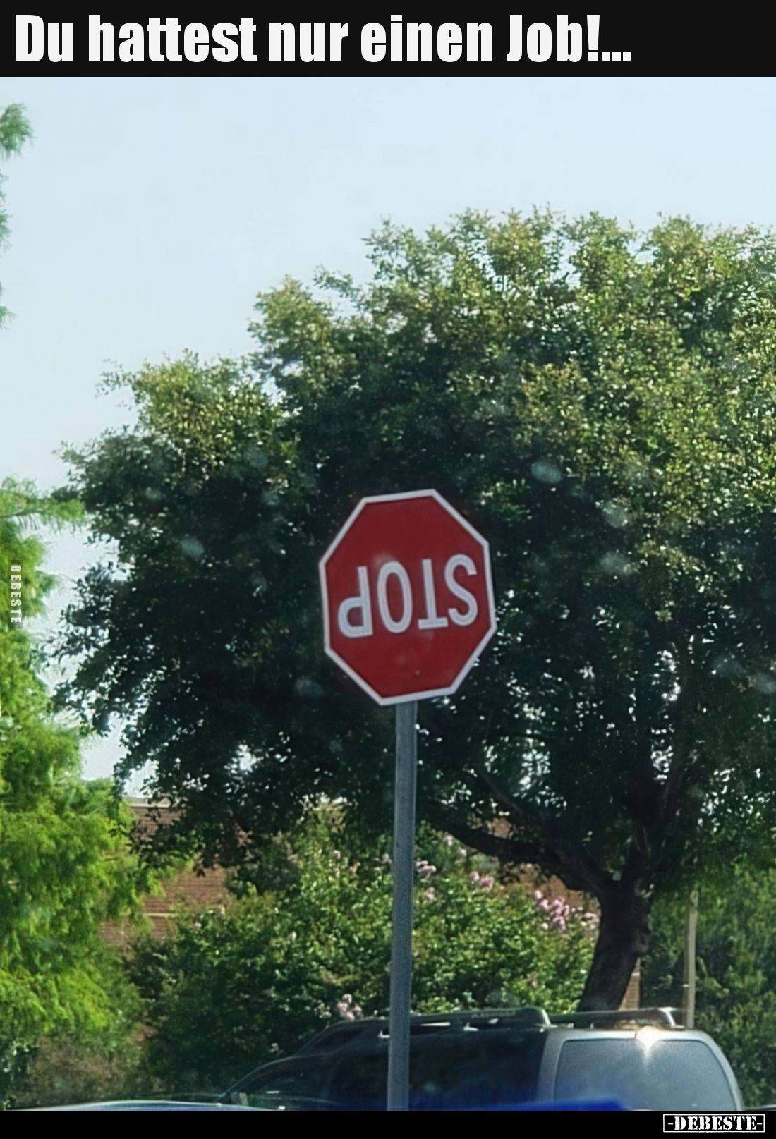Du hattest nur einen Job!...