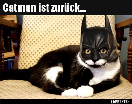 Catman ist zurück... - Lustige Bilder | DEBESTE.de