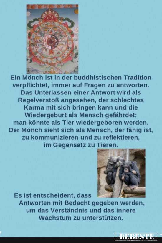 Mönche Antworten - Lustige Bilder | DEBESTE.de