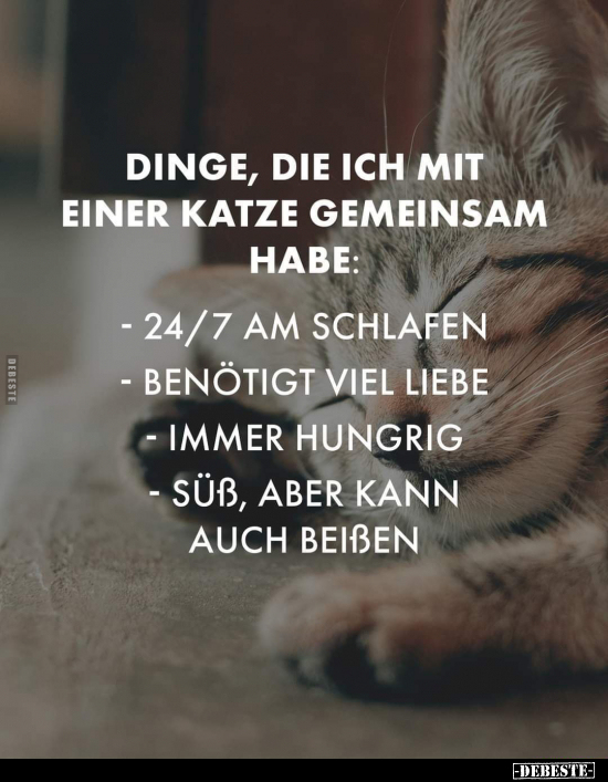 Dinge, die ich mit einer Katze gemeinsam habe.. - Lustige Bilder | DEBESTE.de