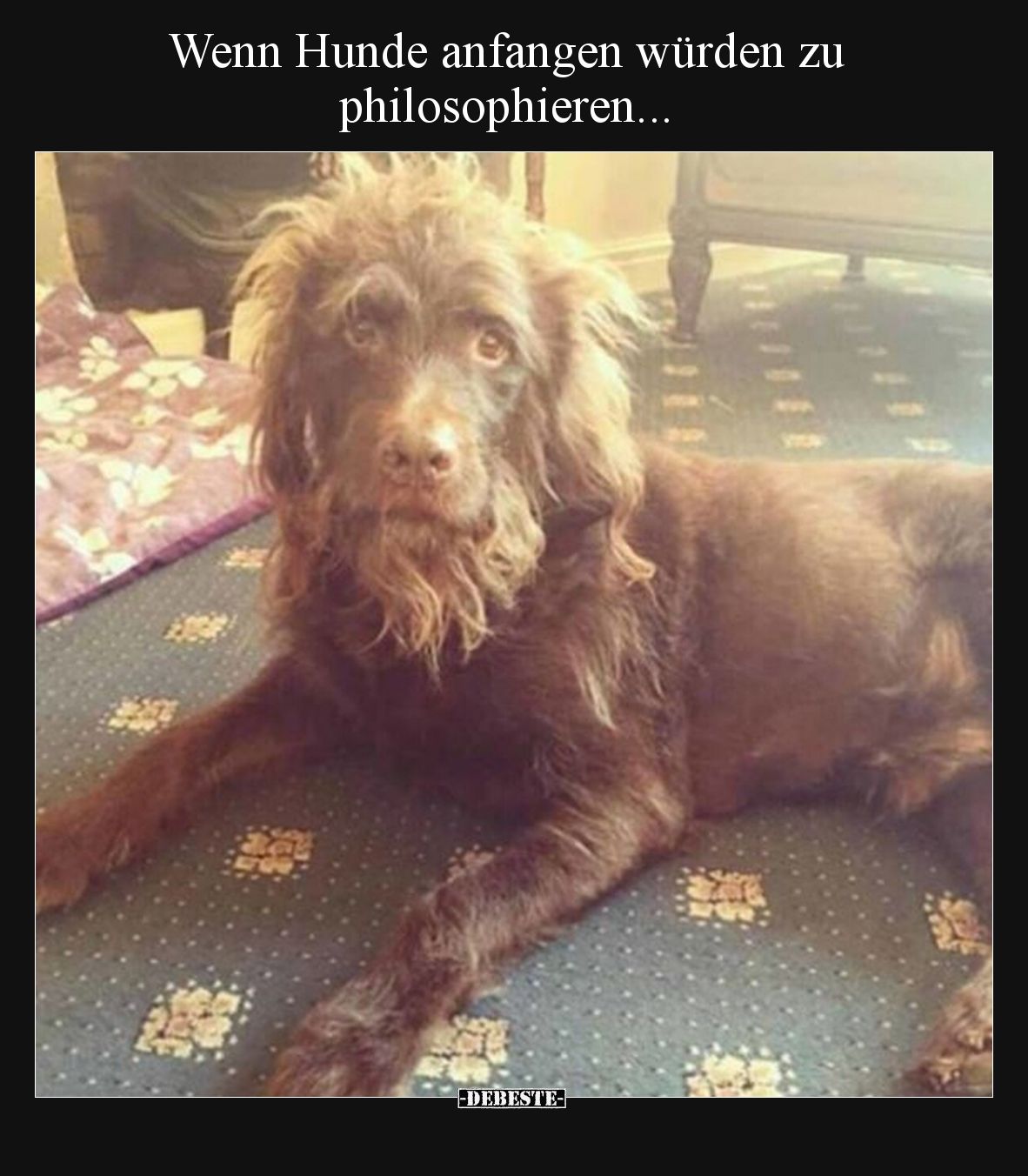 Wenn Hunde anfangen würden zu philosophieren...