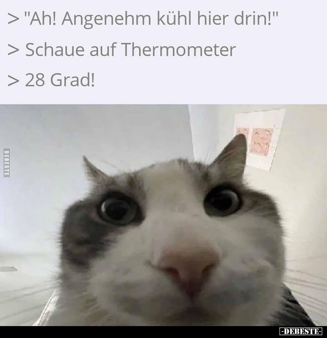 Ah! Angenehm kühl hier drin! -
Schaue auf Thermometer. -
28 Grad!