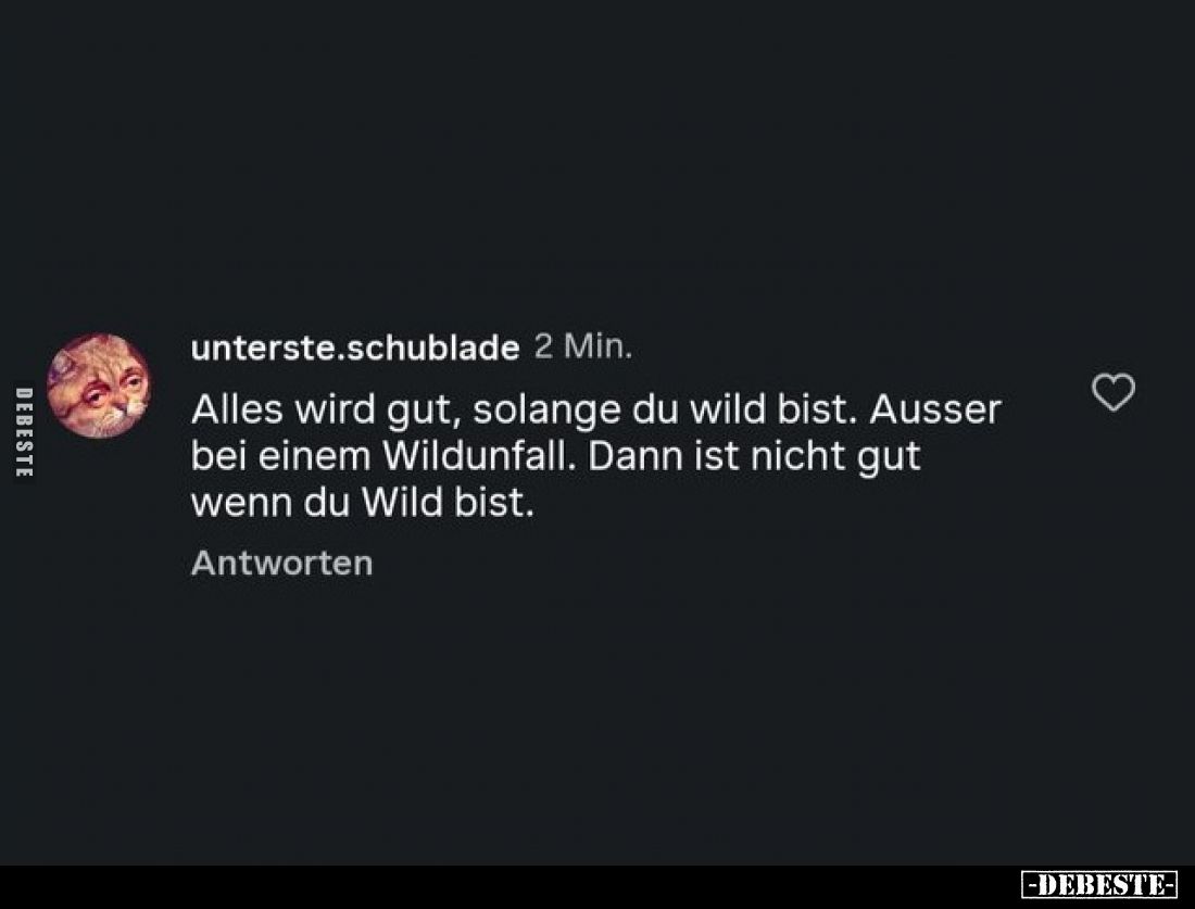 Alles wird gut, solange du wild bist. Ausser bei einem Wildunfall. Dann ist nicht gut wenn du Wild bist.