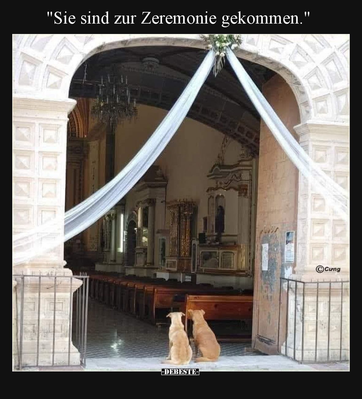 Sie sind zur Zeremonie gekommen.