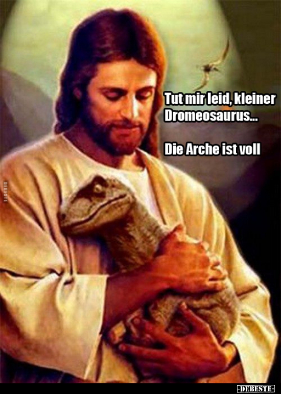 Tut mir leid, kleiner Dromeosaurus. Die Arche ist voll. - Lustige Bilder | DEBESTE.de