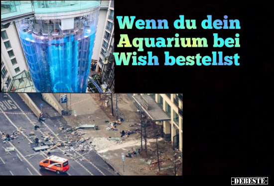 Wenn du dein Aquarium bei Wish bestellst.. - Lustige Bilder | DEBESTE.de