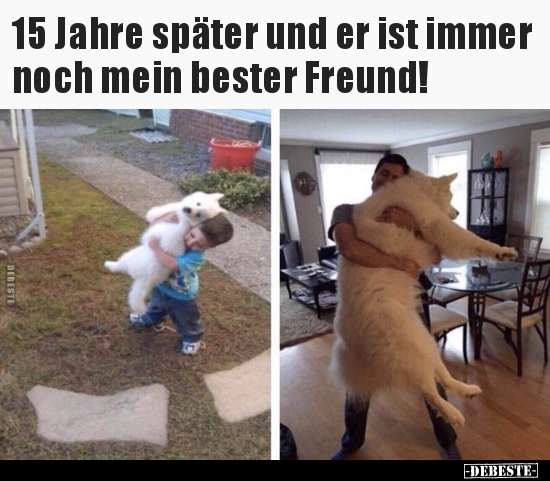15 Jahre später und er ist immer noch mein bester..
