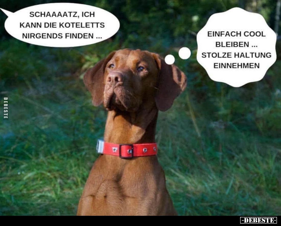 Schaaaatz, ich kann die Koteletts nirgends finden... -
Einfach cool bleiben... Stolze Haltung einnehmen.