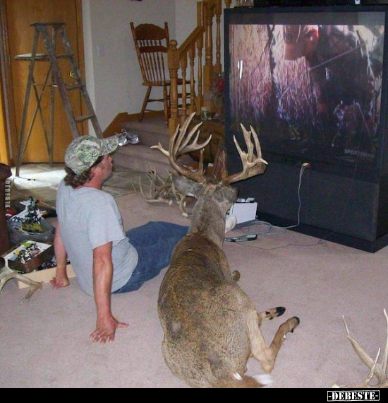  - Lustige Bilder | DEBESTE.de