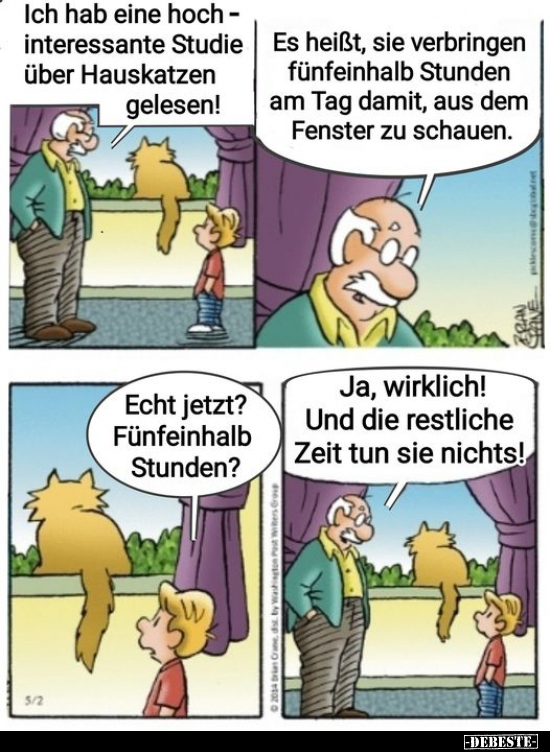 Ich hab eine hochinteressante Studie über Hauskatzen.. - Lustige Bilder | DEBESTE.de