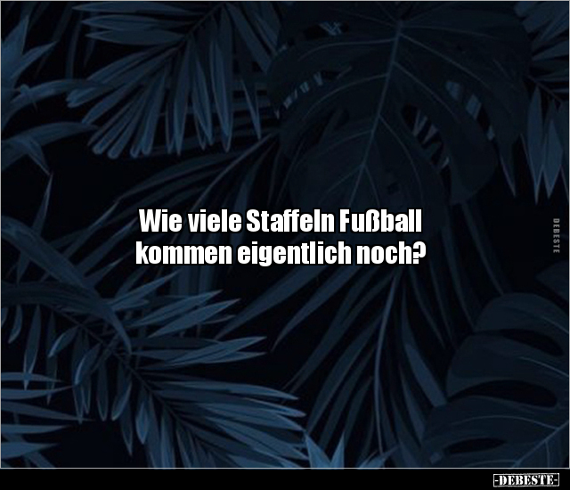Wie viele Staffeln Fußball kommen eigentlich noch?.. - Lustige Bilder | DEBESTE.de