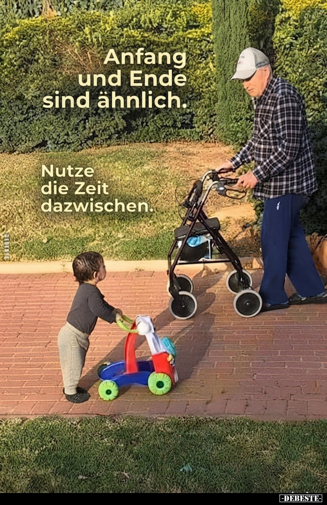 Bild
