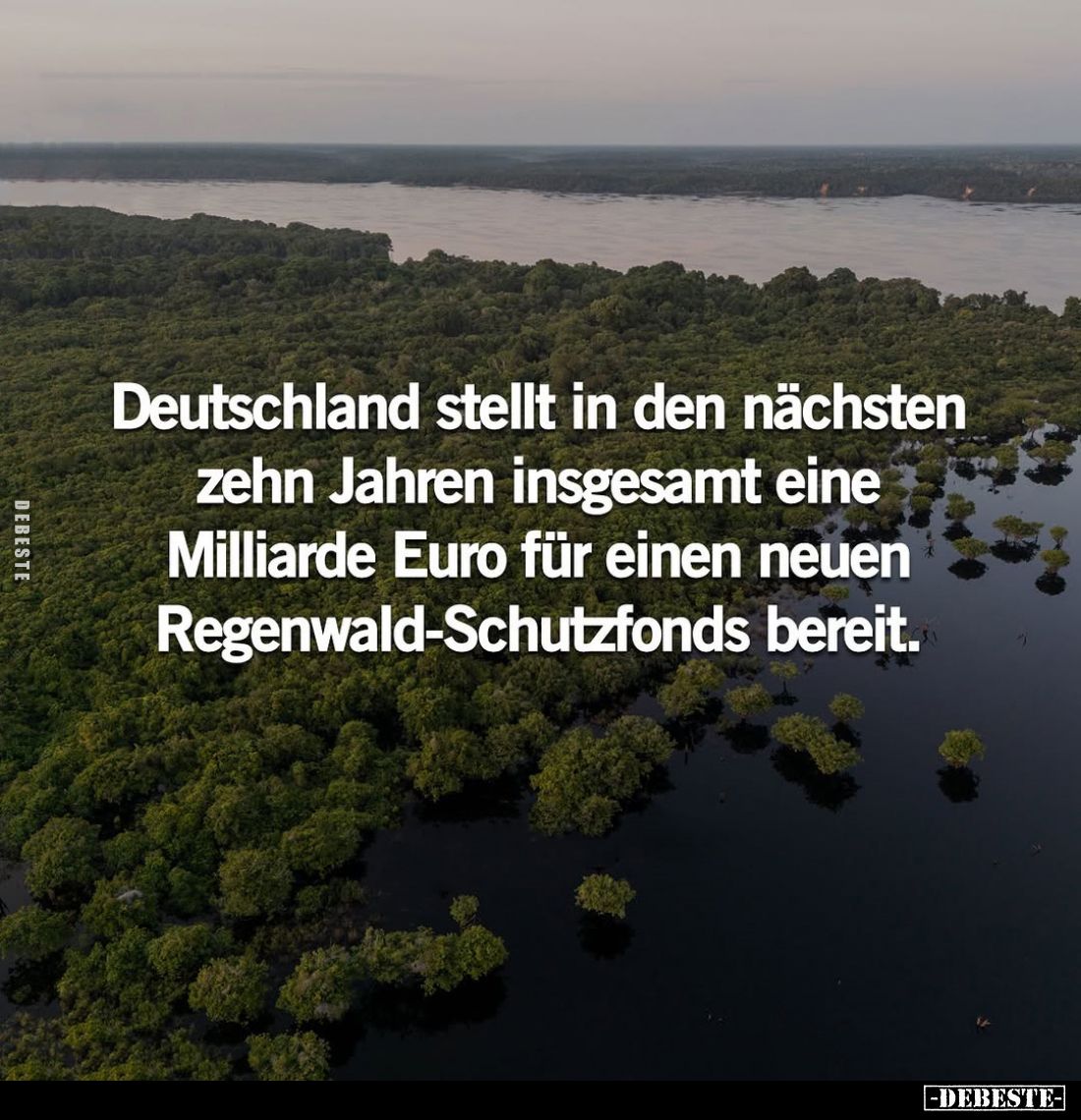 Deutschland stellt in den nächsten zehn Jahren insgesamt eine Milliarde Euro für einen neuen Regenwald-Schutzfonds bereit.