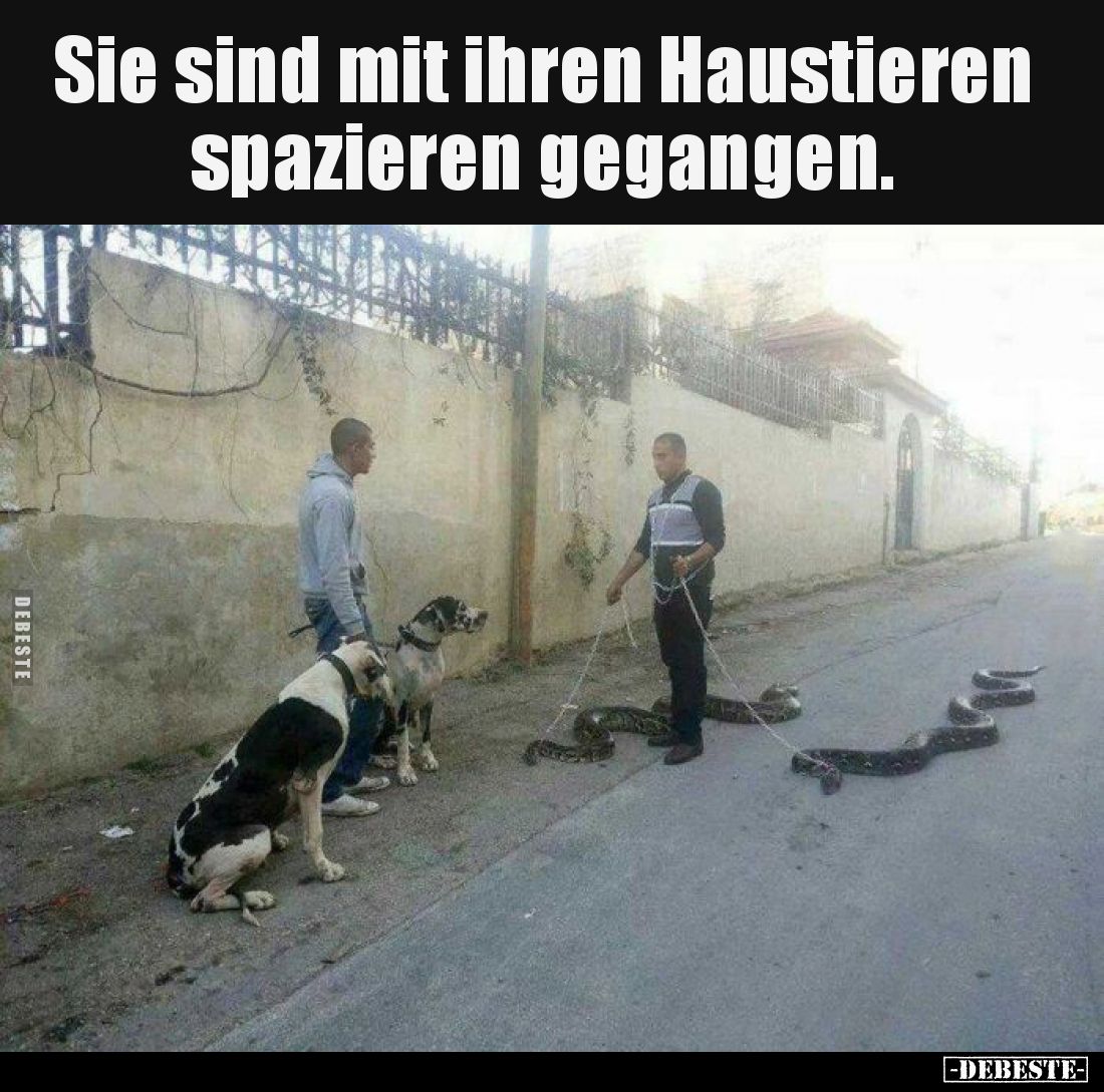 Sie sind mit ihren Haustieren spazieren gegangen.