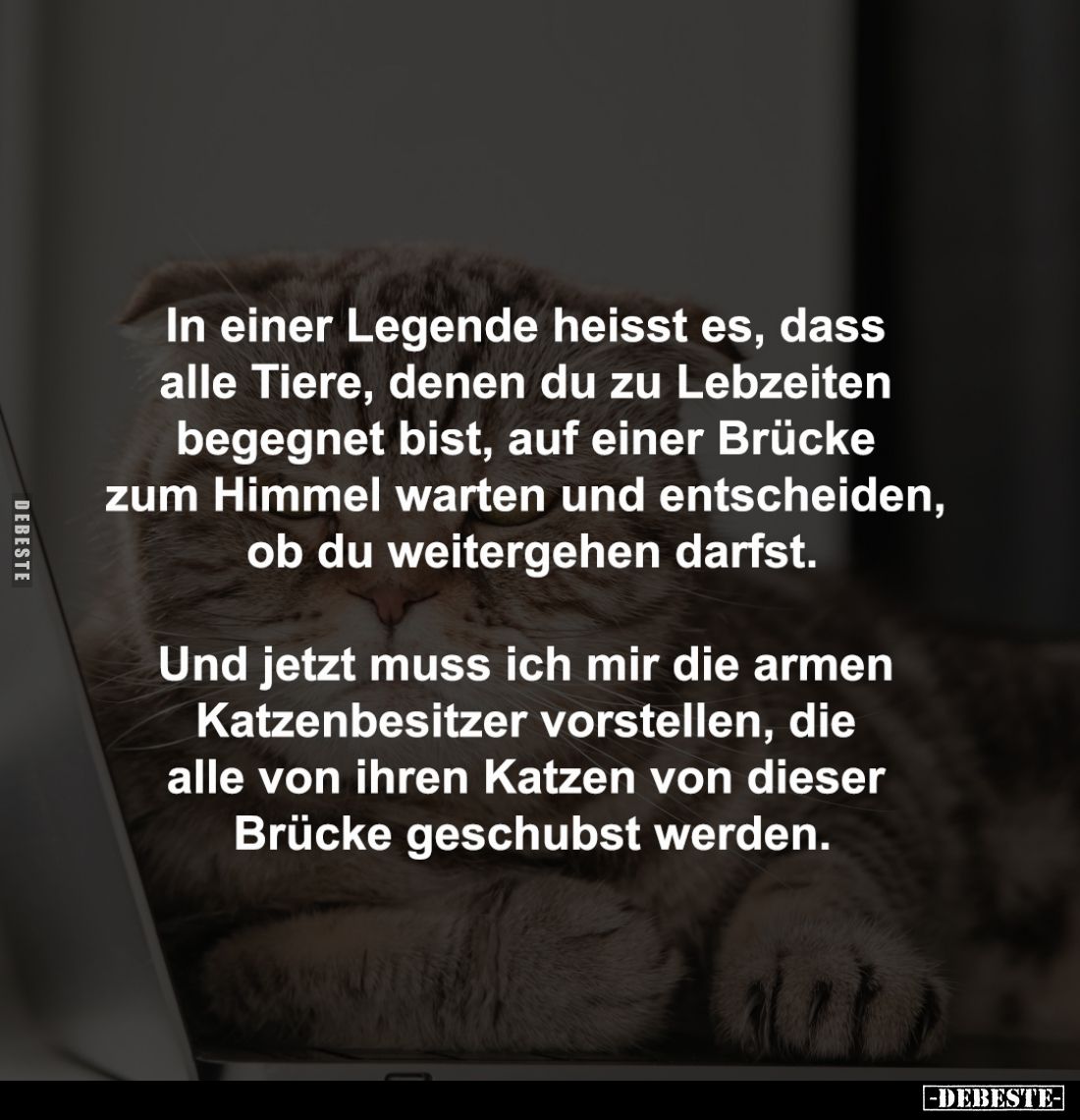 In einer Legende heisst es, dass 
alle Tiere, denen du zu Lebzeiten 
begegnet bist, auf einer Brücke 
zum Himmel warten un...