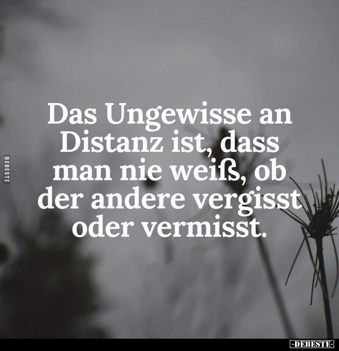 Das Ungewisse an Distanz ist, dass man nie weiß, ob der andere vergisst oder vermisst.