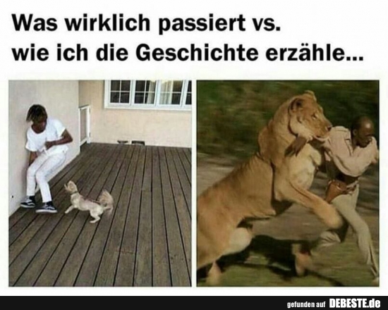 Was wirklich passiert vs. wie ich die Geschichte erzähle.. - Lustige Bilder | DEBESTE.de