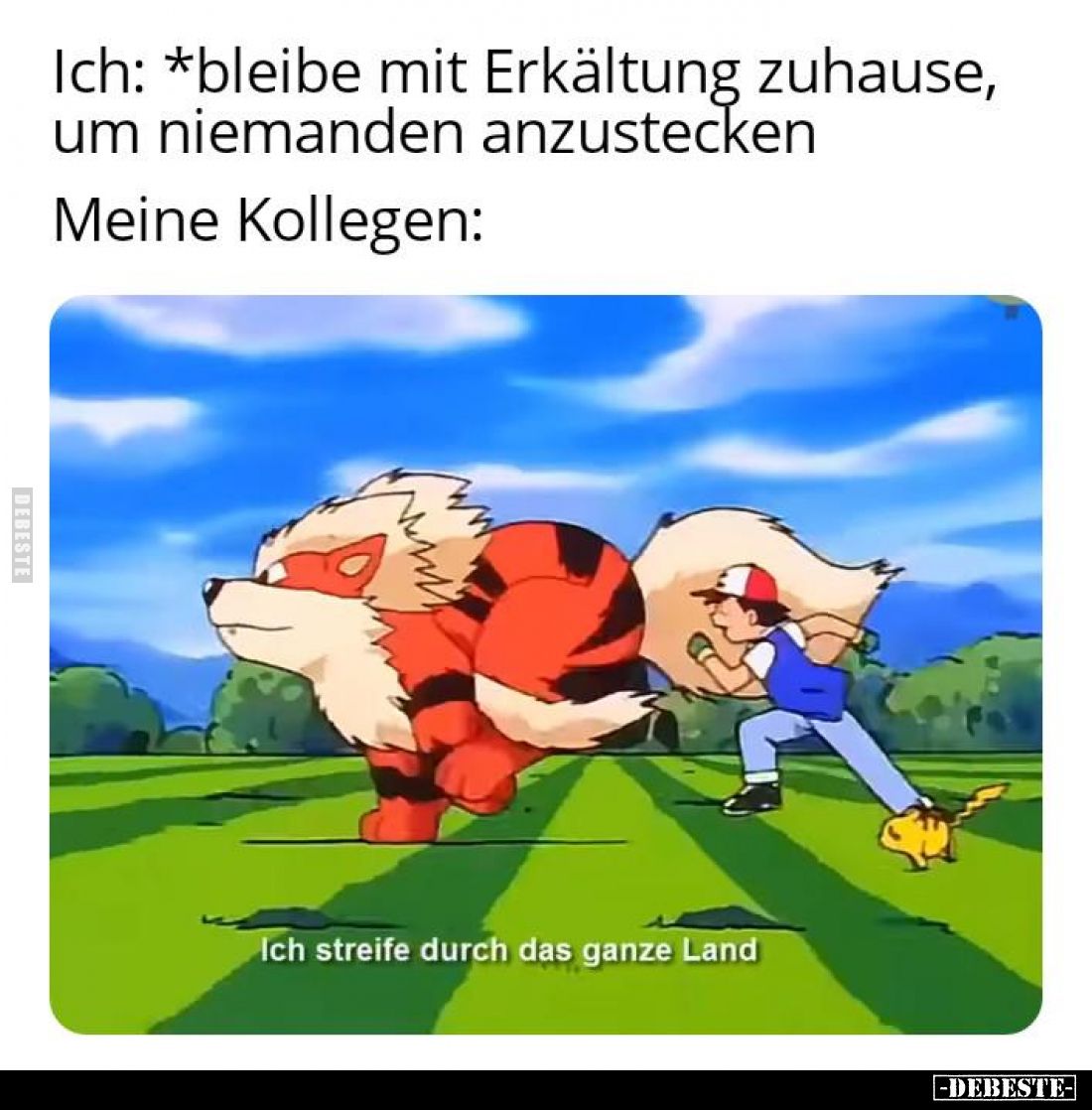 Ich: *bleibe mit Erkältung zuhause, um niemanden anzustecken.
Meine Kollegen:
Ich streife durch das ganze Land