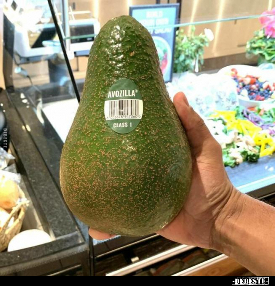  - Lustige Bilder | DEBESTE.de