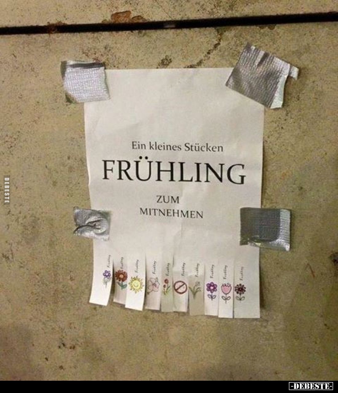 Ein kleines Stücken
FRÜHLING
ZUM MITNEHMEN