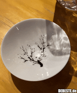 Vom Winter zum Frühling...