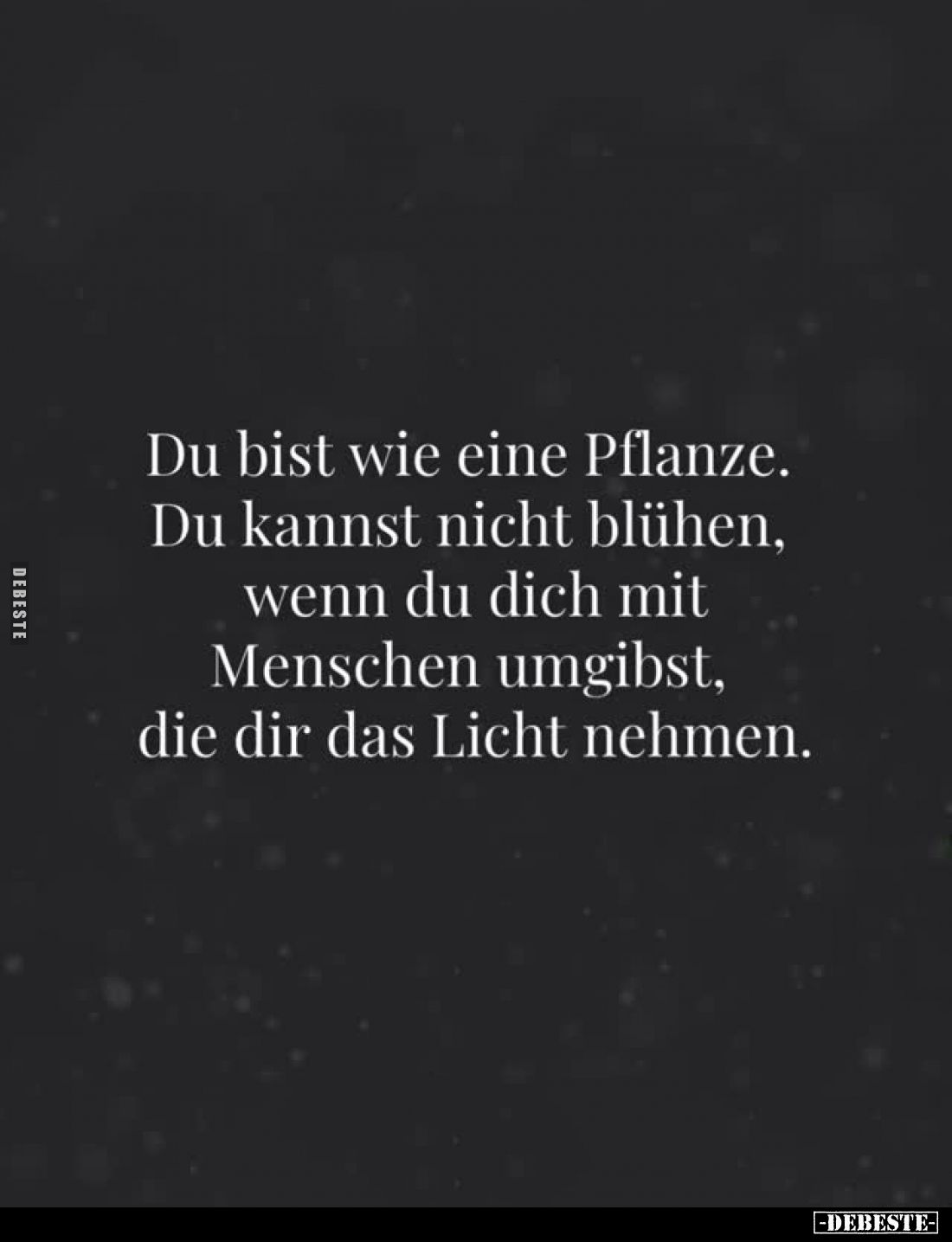 Du bist wie eine Pflanze.
Du kannst nicht blühen, wenn du dich mit Menschen umgibst, die dir das Licht nehmen.