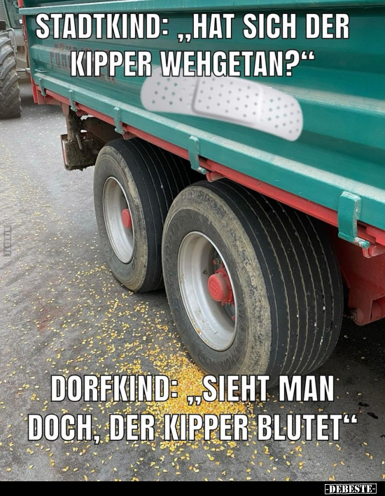 Stadtkind: "Hat sich der Kipper wehgetan?".. - Lustige Bilder | DEBESTE.de