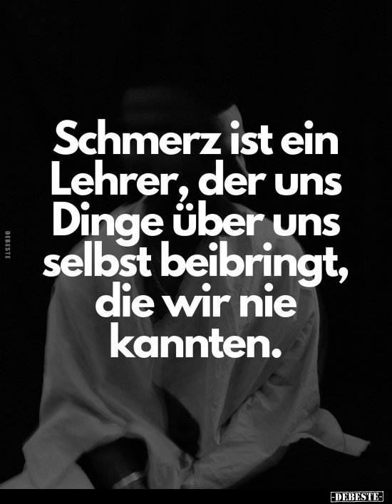 Schmerz ist ein Lehrer, der uns Dinge über uns selbst.. - Lustige Bilder | DEBESTE.de