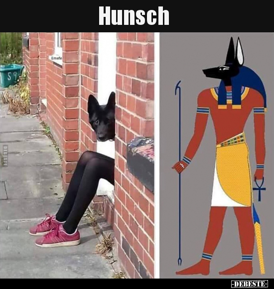 Hunsch.. - Lustige Bilder | DEBESTE.de