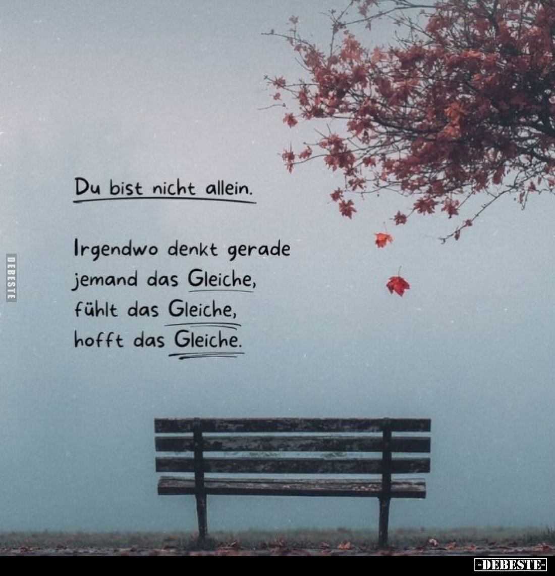 Du bist nicht allein.
Irgendwo denkt gerade jemand das Gleiche, fühlt das Gleiche, hofft das Gleiche.