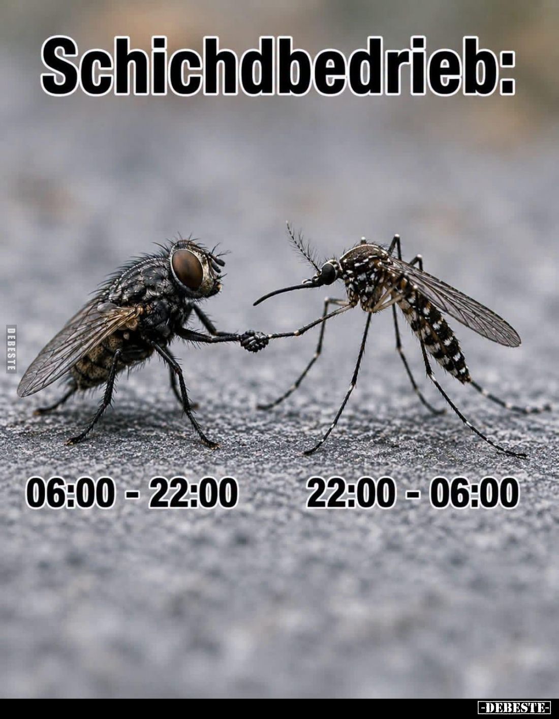 Schichdbedrieb: