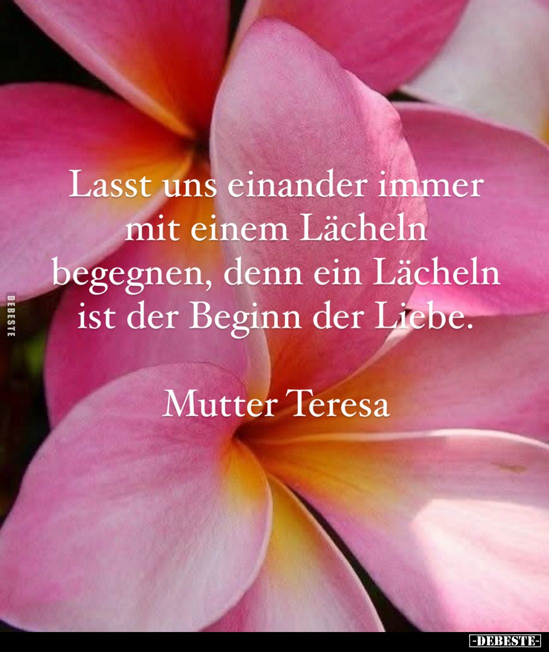 Lasst uns einander immer mit einem Lächeln begegnen, denn ein Lächeln ist der Beginn der Liebe.