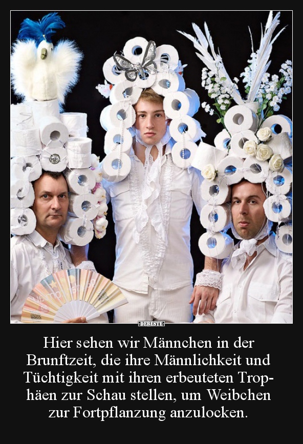 Hier sehen wir Männchen in der Brunftzeit, die ihre..