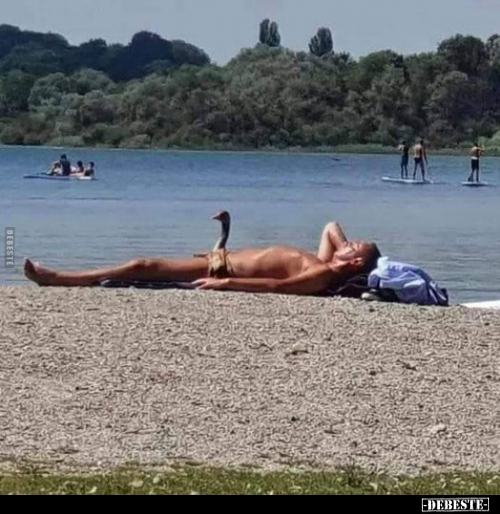  - Lustige Bilder | DEBESTE.de