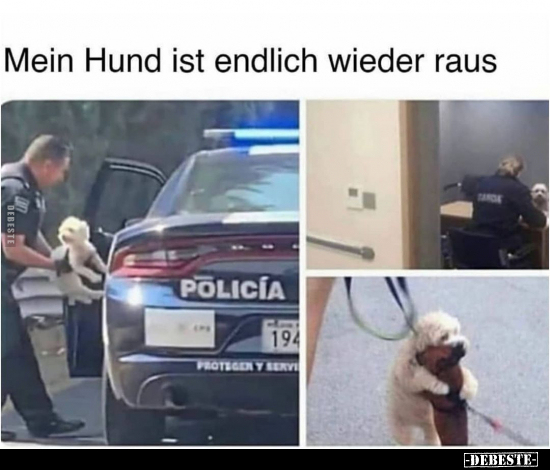 Mein Hund ist endlich wieder raus..