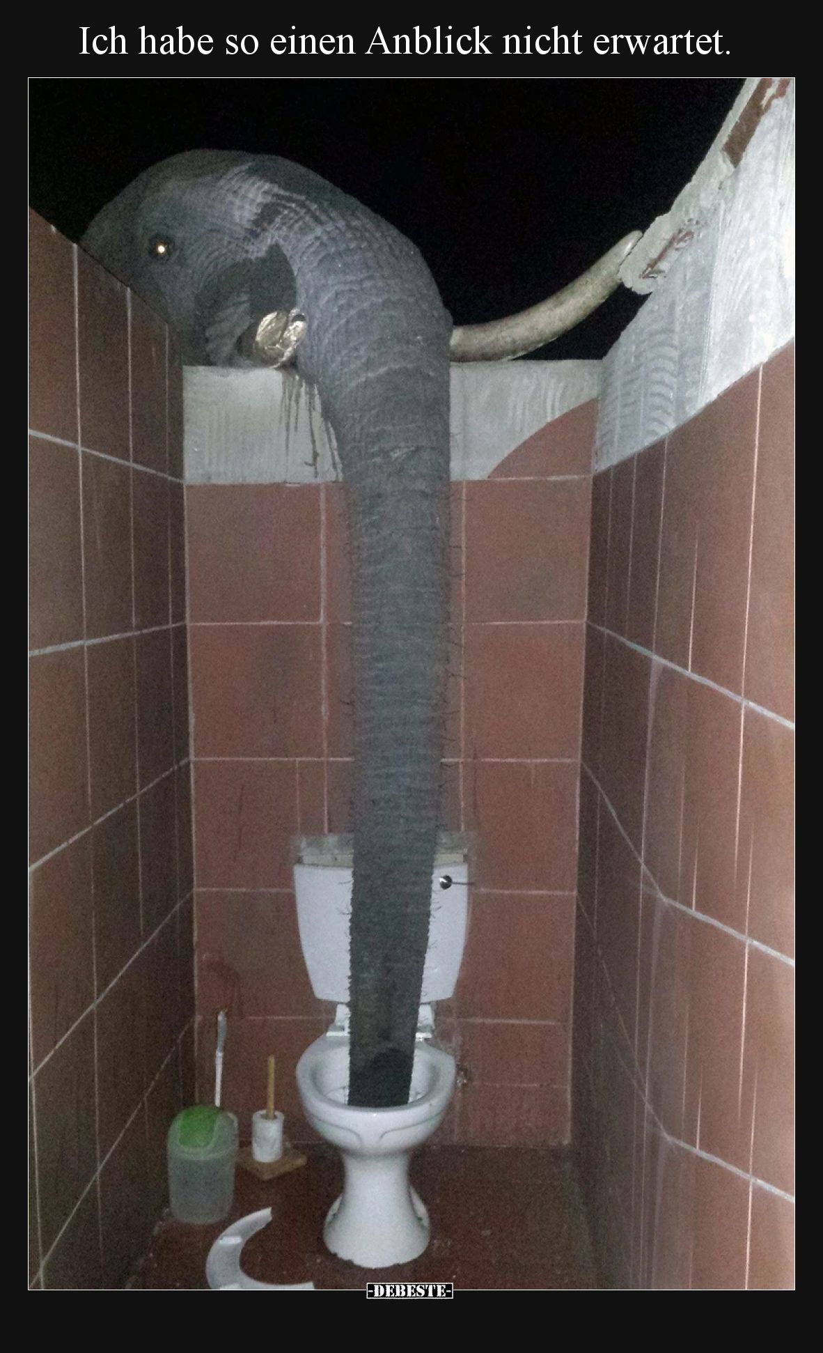 Ich habe so einen Anblick nicht erwartet.