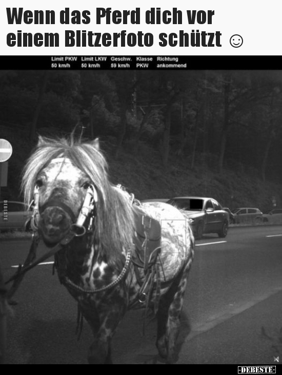 Wenn das Pferd dich vor einem Blitzerfoto schützt.. - Lustige Bilder | DEBESTE.de