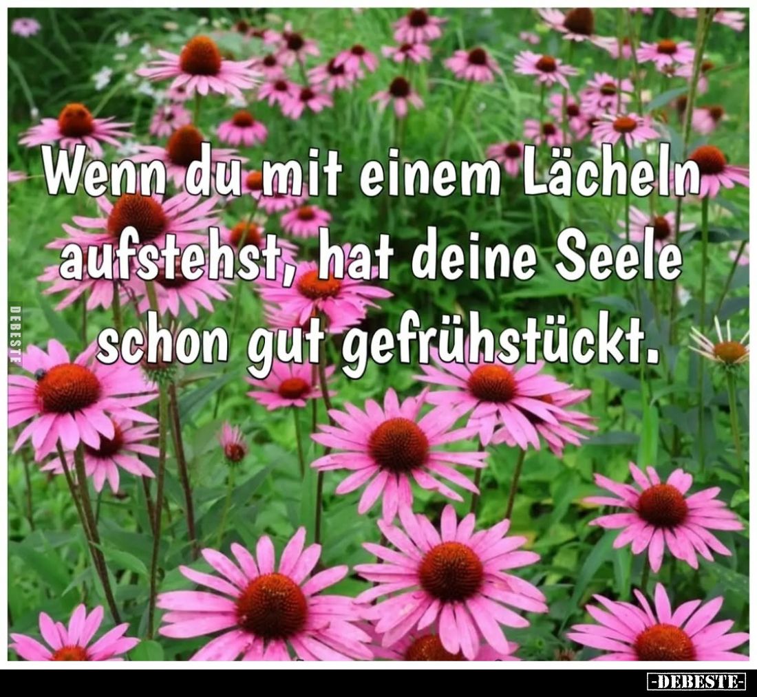 Wenn du mit einem Lächeln aufstehst, hat deine Seele schon gut gefrühstückt.