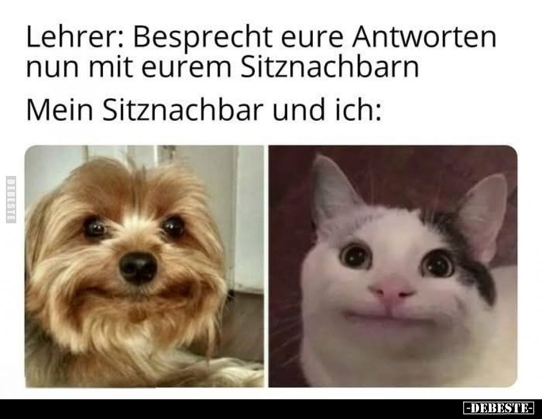 Lehrer: Besprecht eure Antworten nun mit eurem Sitznachbarn.
Mein Sitznachbar und ich:
