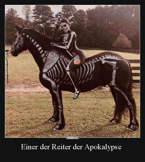 Einer der Reiter der Apokalypse.. - Lustige Bilder | DEBESTE.de