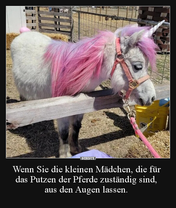 Wenn Sie die kleinen Mädchen, die für das Putzen der.. - Lustige Bilder | DEBESTE.de