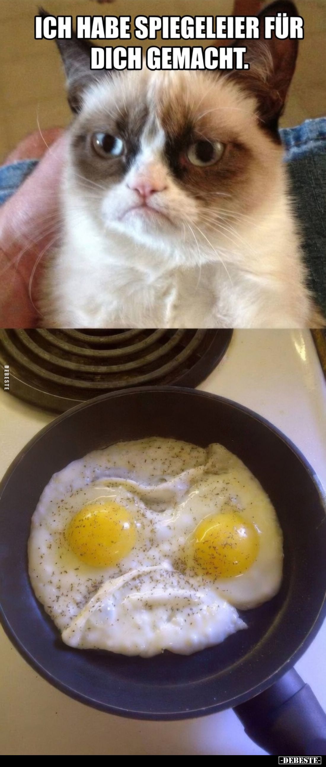 Ich habe Spiegeleier für dich gemacht.