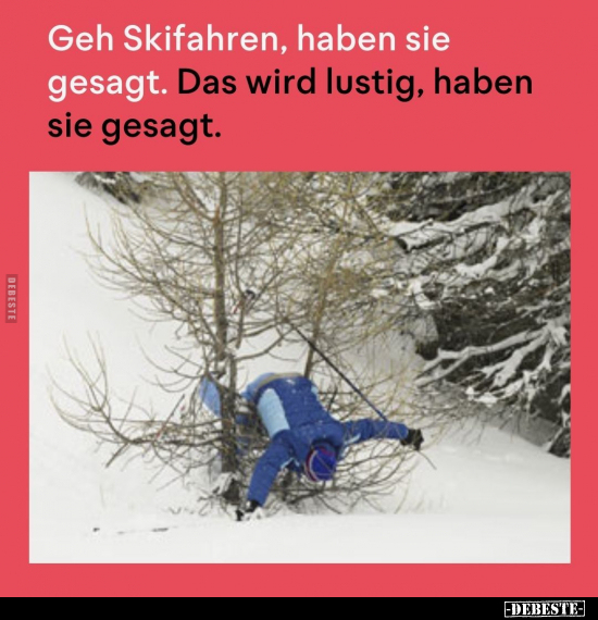 Geh Skifahren, haben sie gesagt.. - Lustige Bilder | DEBESTE.de
