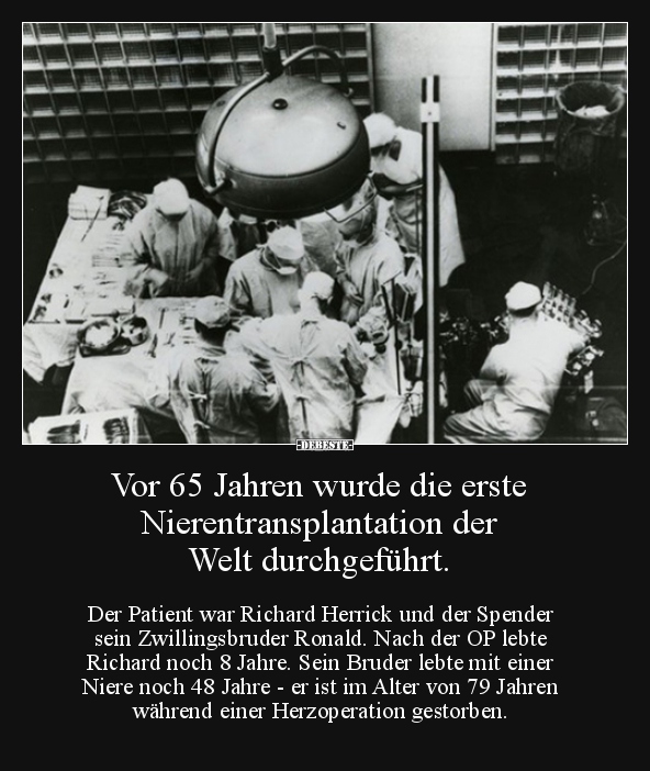 Vor 65 Jahren wurde die erste Nierentransplantation der..