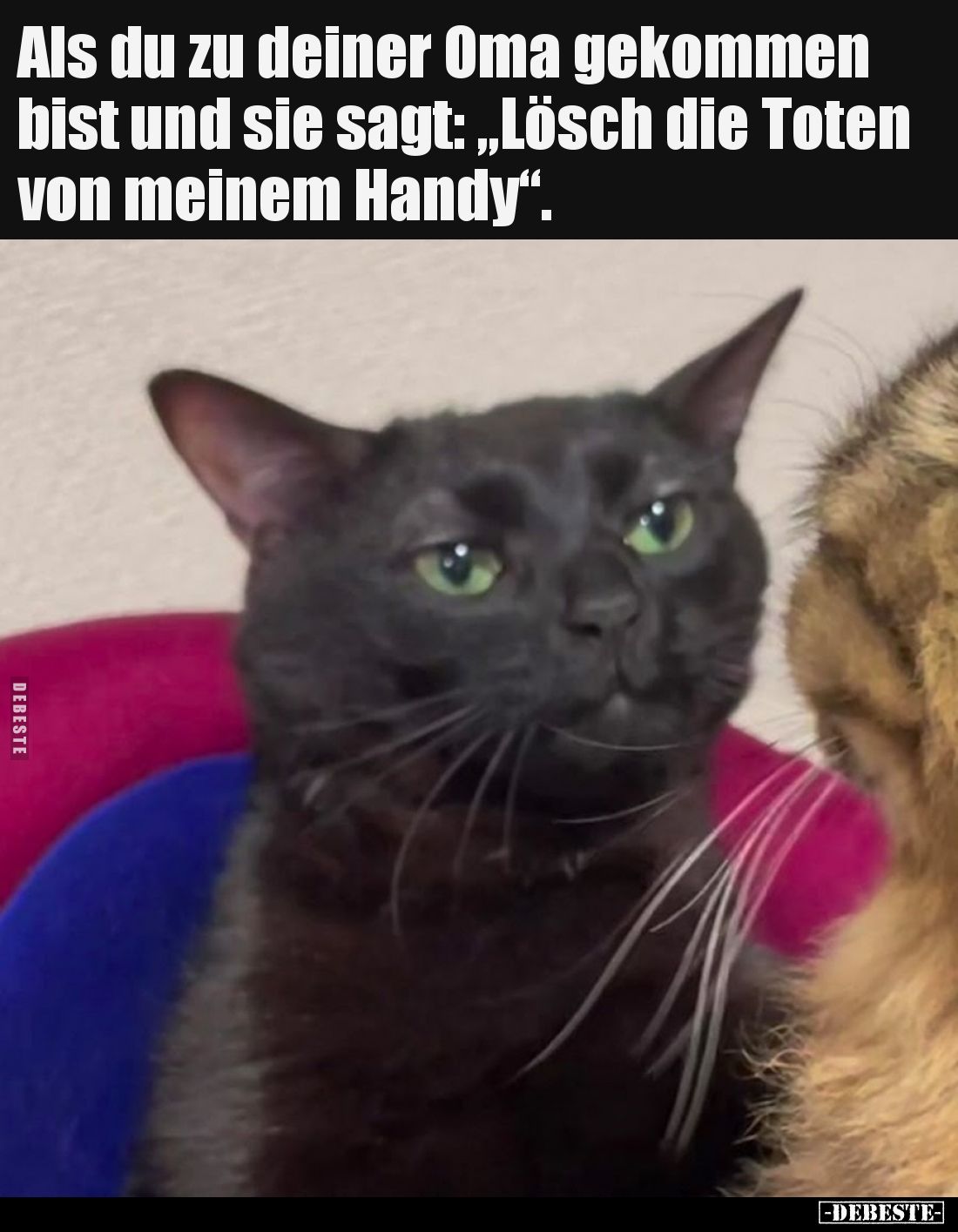 Als du zu deiner Oma gekommen bist und sie sagt: „Lösch die Toten von meinem Handy“.