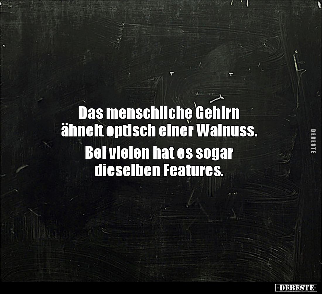Das menschliche Gehirn 
ähnelt optisch einer Walnuss. 

Bei vielen hat es sogar 
dieselben Features.