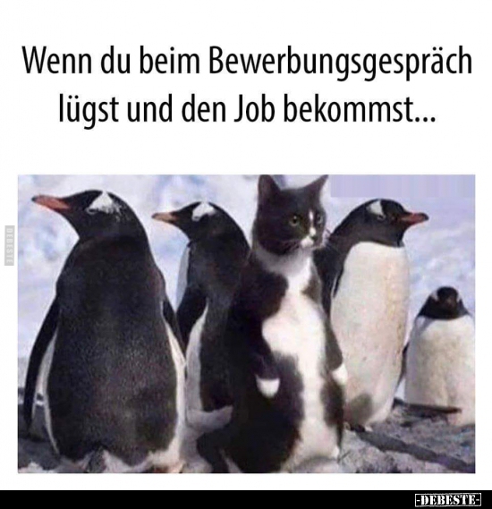 Wenn du beim Bewerbungsgespräch lügst und den Job.. - Lustige Bilder | DEBESTE.de