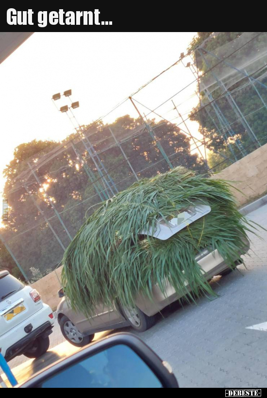 Gut getarnt...
