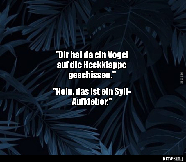 "Dir hat da ein Vogel auf die Heckklappe.." - Lustige Bilder | DEBESTE.de