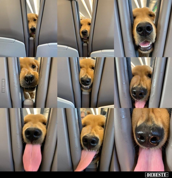  - Lustige Bilder | DEBESTE.de